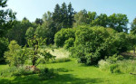 Garten am Landhaus Fredenwalde