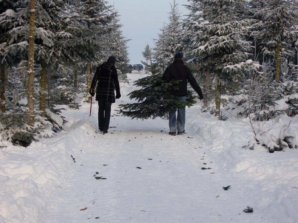 2 Personen tragen Weihnachtsbaum im Schnee